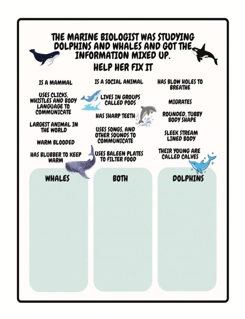 whale and dolphin facts